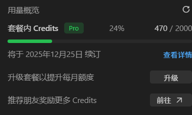 Qoder IDE使用量