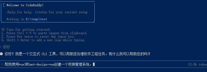 CodeBuddy Code聊天测试